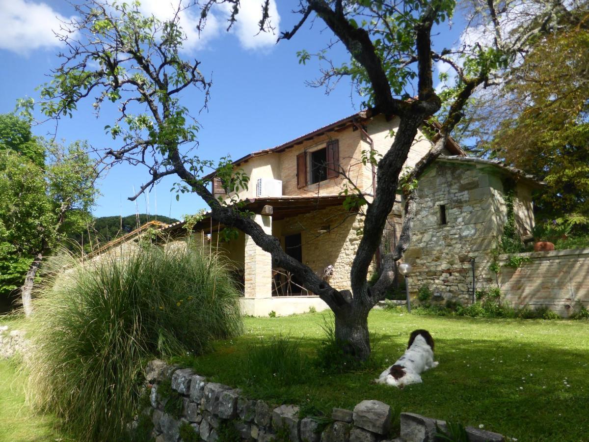 Country House La Casa Paterna Monte Santa Maria Tiberina Extérieur photo
